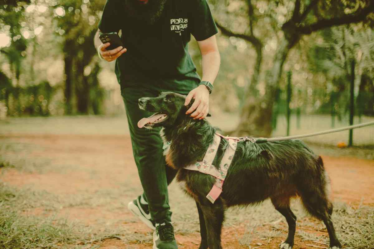 Vedi un cane e lo vuoi accarezzare? Cosa significa in psicologia