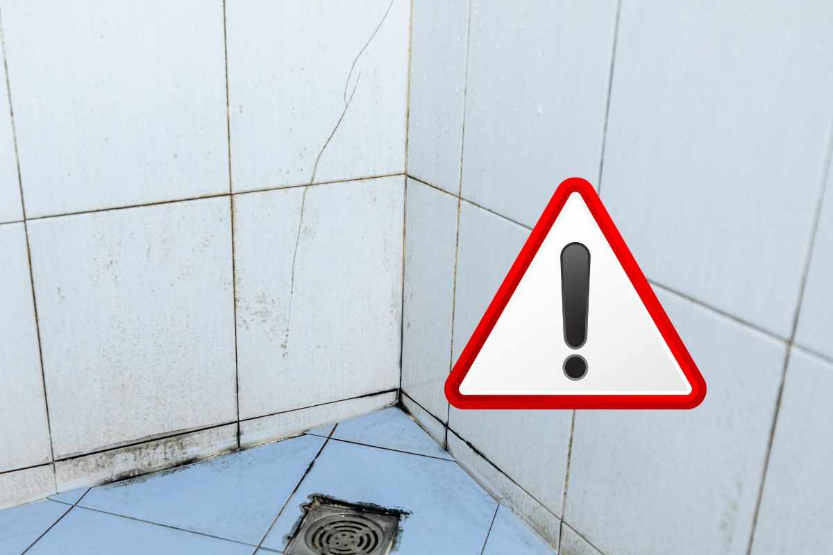 muffa in bagno come si crea e come eliminarla